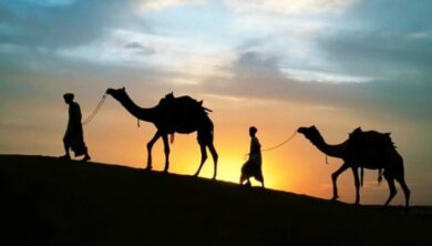 الهجرة النبوية higra