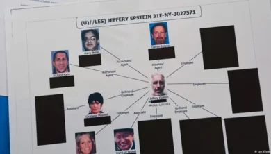 jeffrey epstein