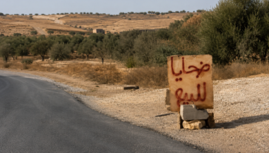 الشناقة. الفراقشية. المضاربة. المغرب الأخضر