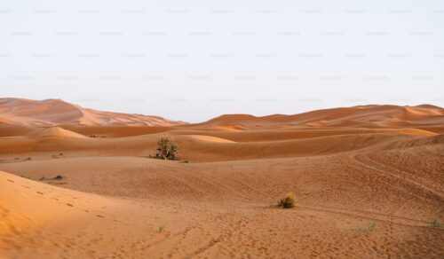 مرزوكة Merzouga